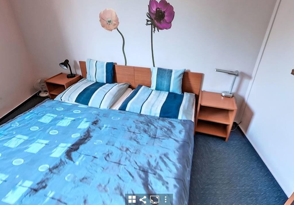 Timarhaz Panzio Bed & Breakfast Segedin Dış mekan fotoğraf